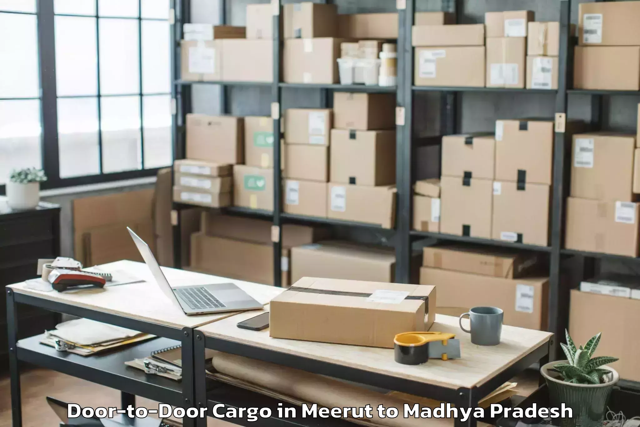 Expert Meerut to Guna Door To Door Cargo